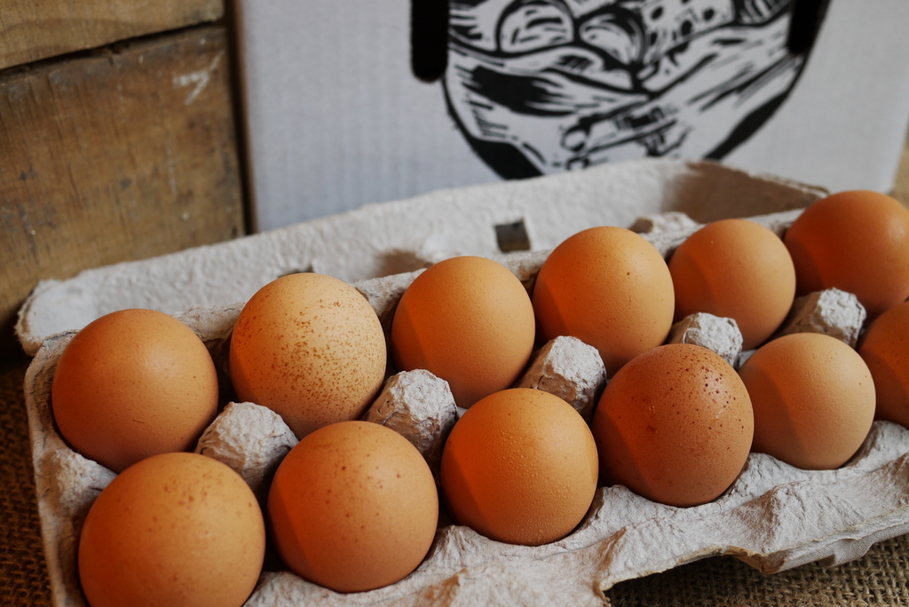 CSA 15 Week Full Share + Eggs (Farm Pickup)