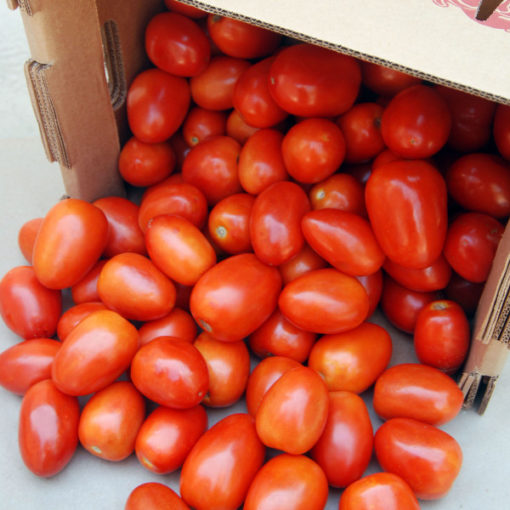 bulk organic roma tomatoes lancaster