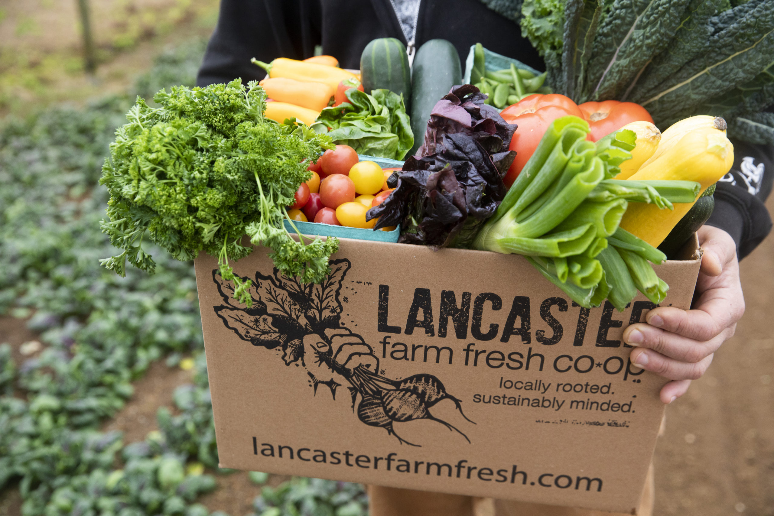 farm food delivered to your door