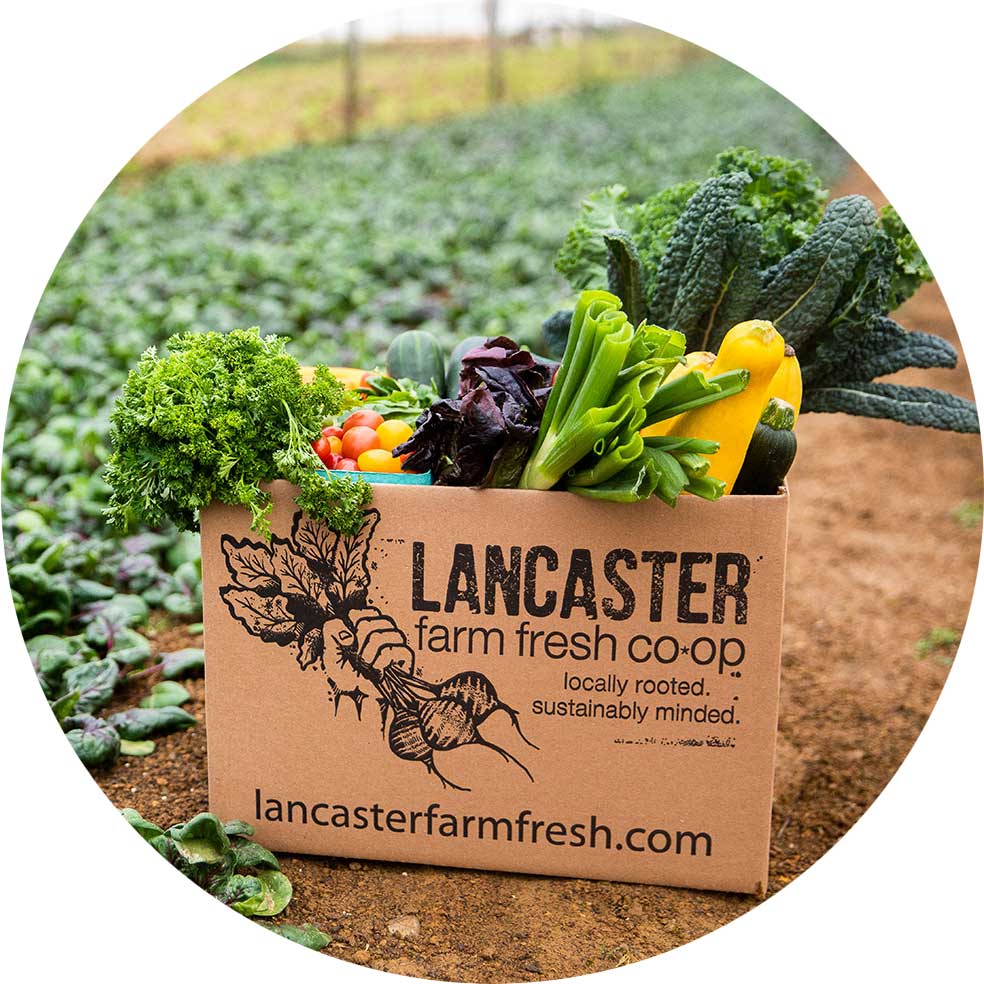 Lancaster Farm Fresh Locally Rooted, Sustainably Minded. A nonprofit