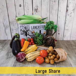 https://lancasterfarmfresh.com/wp-content/uploads/2021/09/large-share-1.jpg