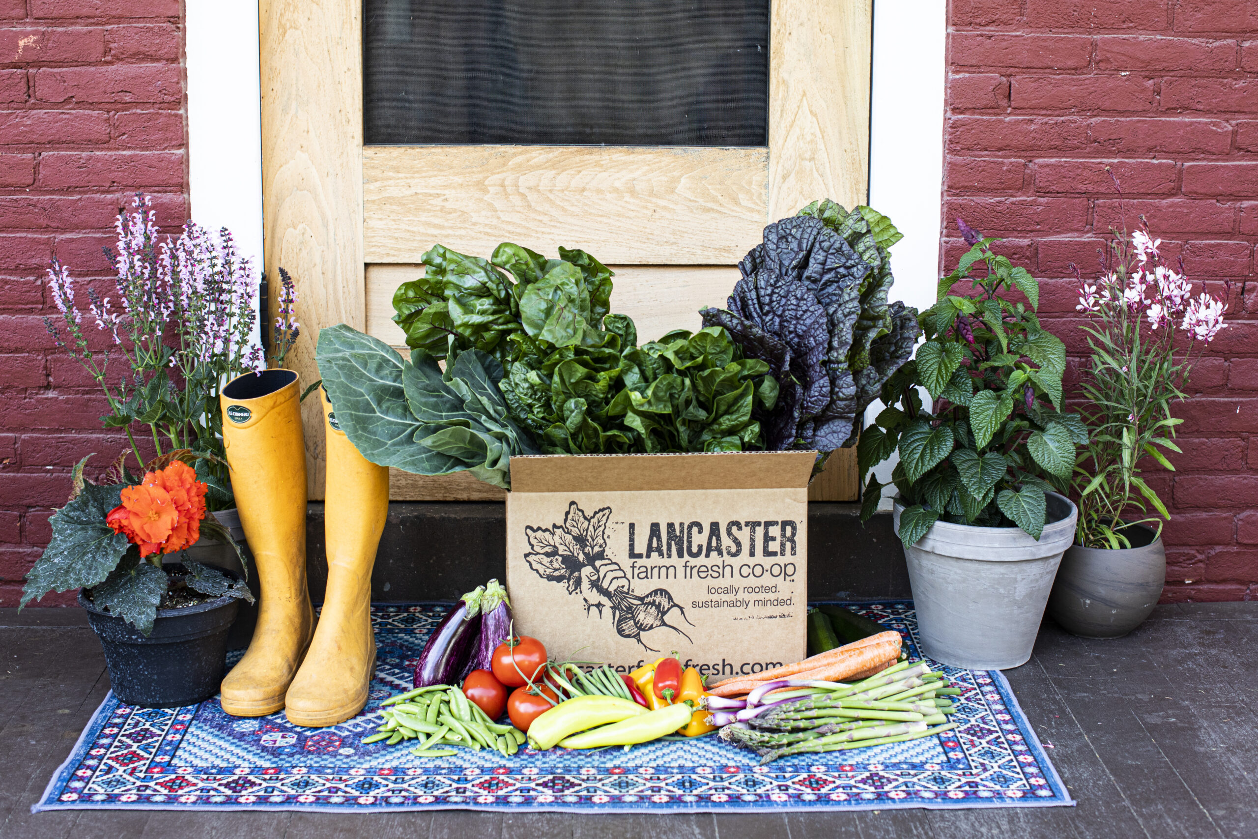 Order Lancaster Farm Fresh Cooperative Local Organic Beauregard
