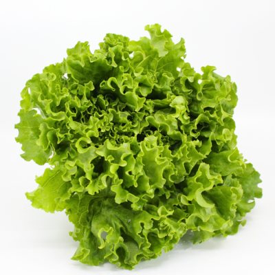 https://lancasterfarmfresh.com/wp-content/uploads/2023/05/Organic-Green-Leaf-Lettuce-94076-01-24-400x400.png
