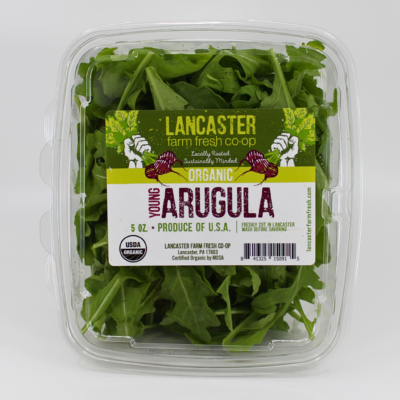 https://lancasterfarmfresh.com/wp-content/uploads/2023/05/Organic-Young-Arugula-94884-30-50-400x400.png