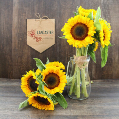 Sunflower Bouquets - 3ct