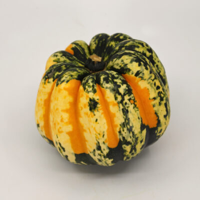 Carnival Squash with green, yellow mottled skin