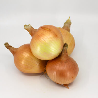 https://lancasterfarmfresh.com/wp-content/uploads/2023/10/Organic-Sweet-Onions-93412-04-40-400x400.jpg
