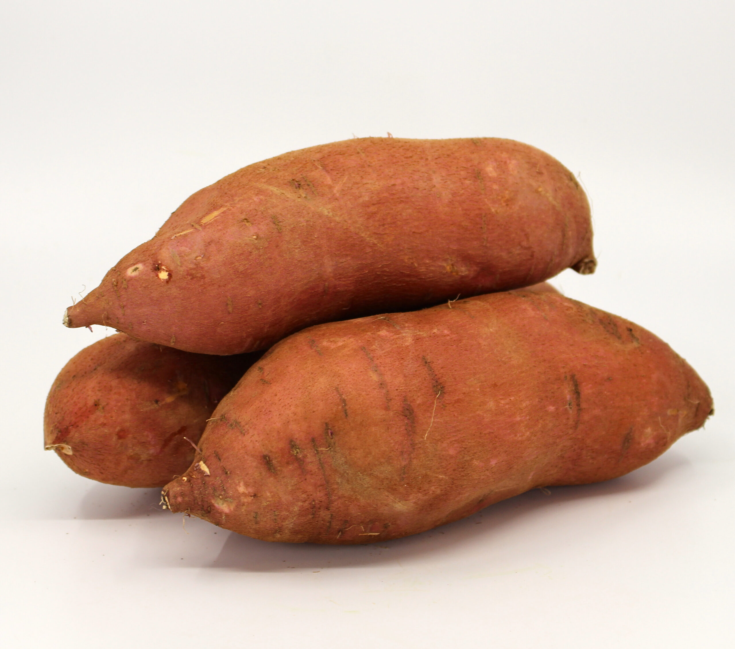 https://lancasterfarmfresh.com/wp-content/uploads/2023/10/Organic-Sweet-Potato-Beau-94817-14-40-scaled.jpg