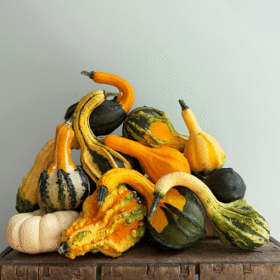 Mixed Ornamental Gourds - 10lbs