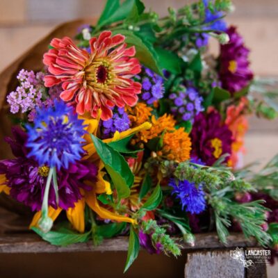 colorful summer flower csa share from Lancaster Farmacy