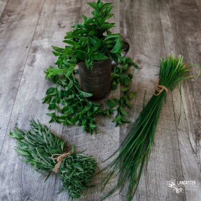 Summer csa herb share with 3 herbs