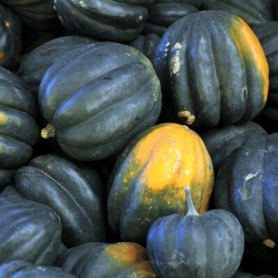 Organic Acorn Squash - 35 lbs