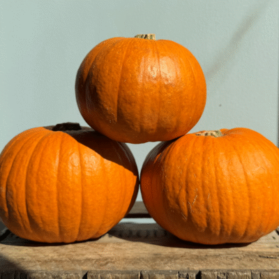 Organic Pie Pumpkins - 35 lbs